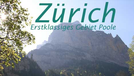 The Zurich Domain Poole Brings Wonderful Domans For All The World!